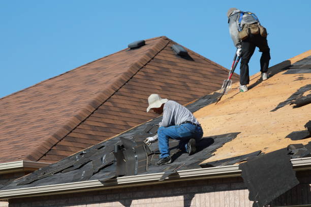 Best Storm Damage Roof Repair  in Spencer, IA